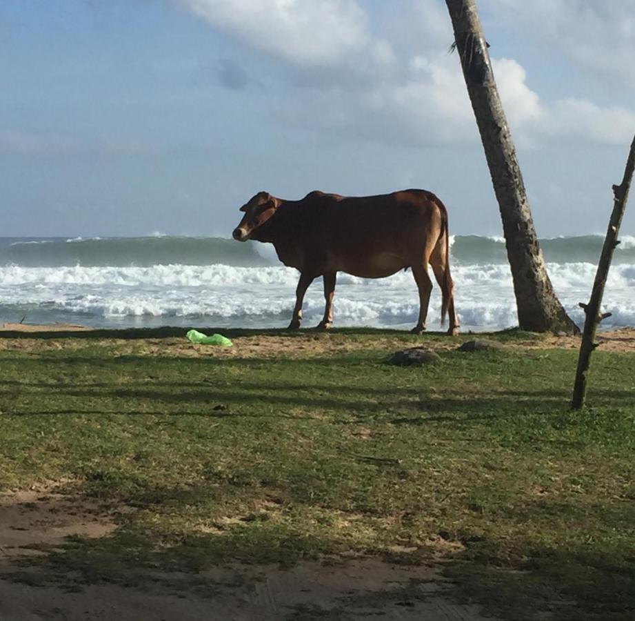 Отель Sundance Surf Coconut Point Велигама Экстерьер фото